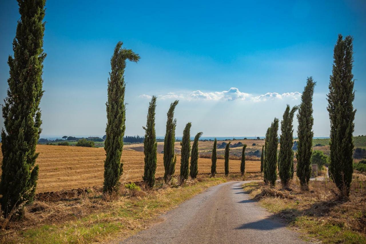 Agriturismo Tenuta Stoccatello Менфи Экстерьер фото